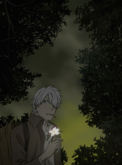 الحلقة الخاصة Mushishi: Hihamukage