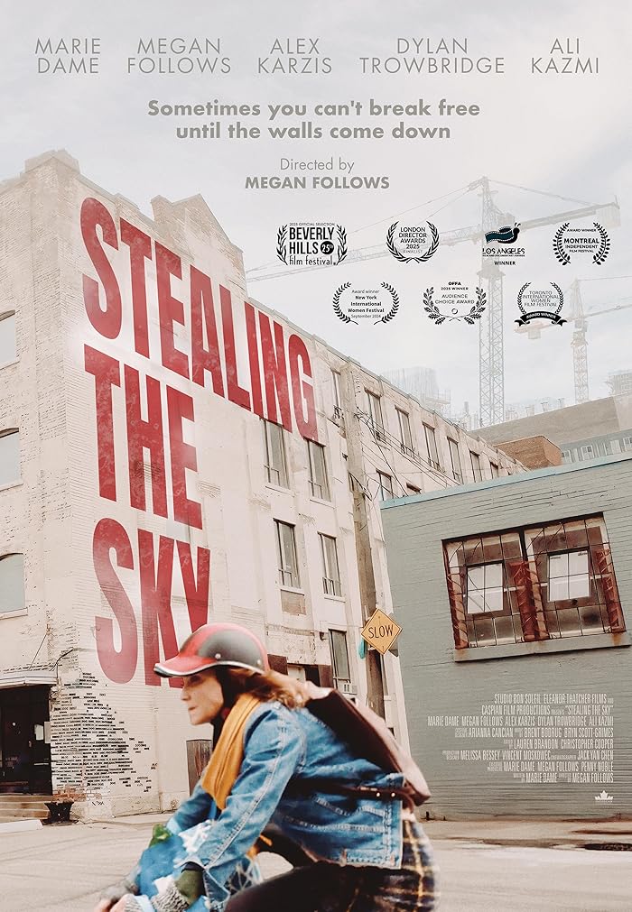Stealing the Sky 2025 مترجم اون لاين